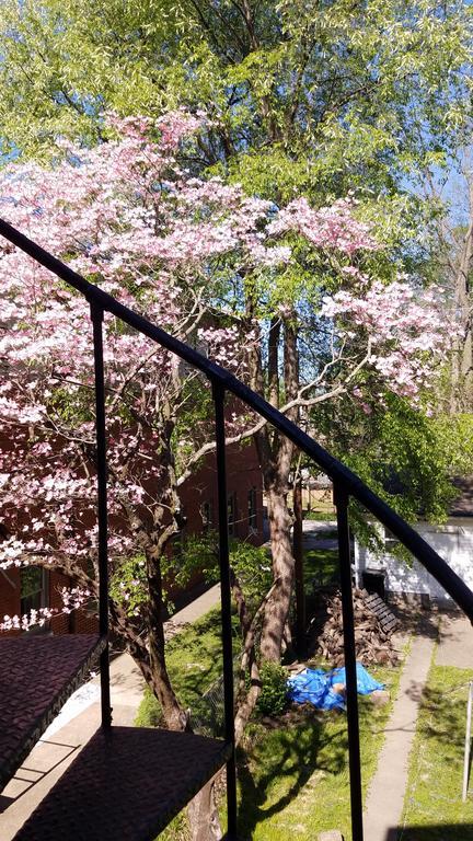 The B Apartment Louisville Ngoại thất bức ảnh